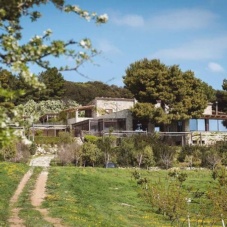 Masseria Agriturismo Torre Di Albidona トレビザッチェ エクステリア 写真