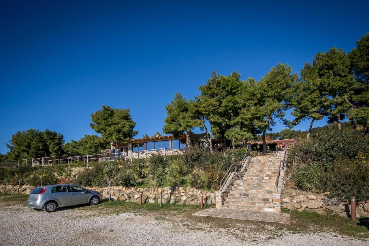 Masseria Agriturismo Torre Di Albidona トレビザッチェ エクステリア 写真