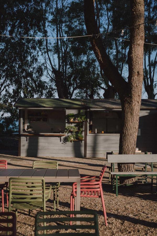 Masseria Agriturismo Torre Di Albidona トレビザッチェ エクステリア 写真