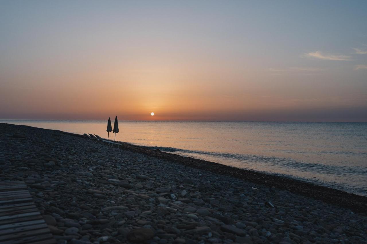 Masseria Agriturismo Torre Di Albidona トレビザッチェ エクステリア 写真