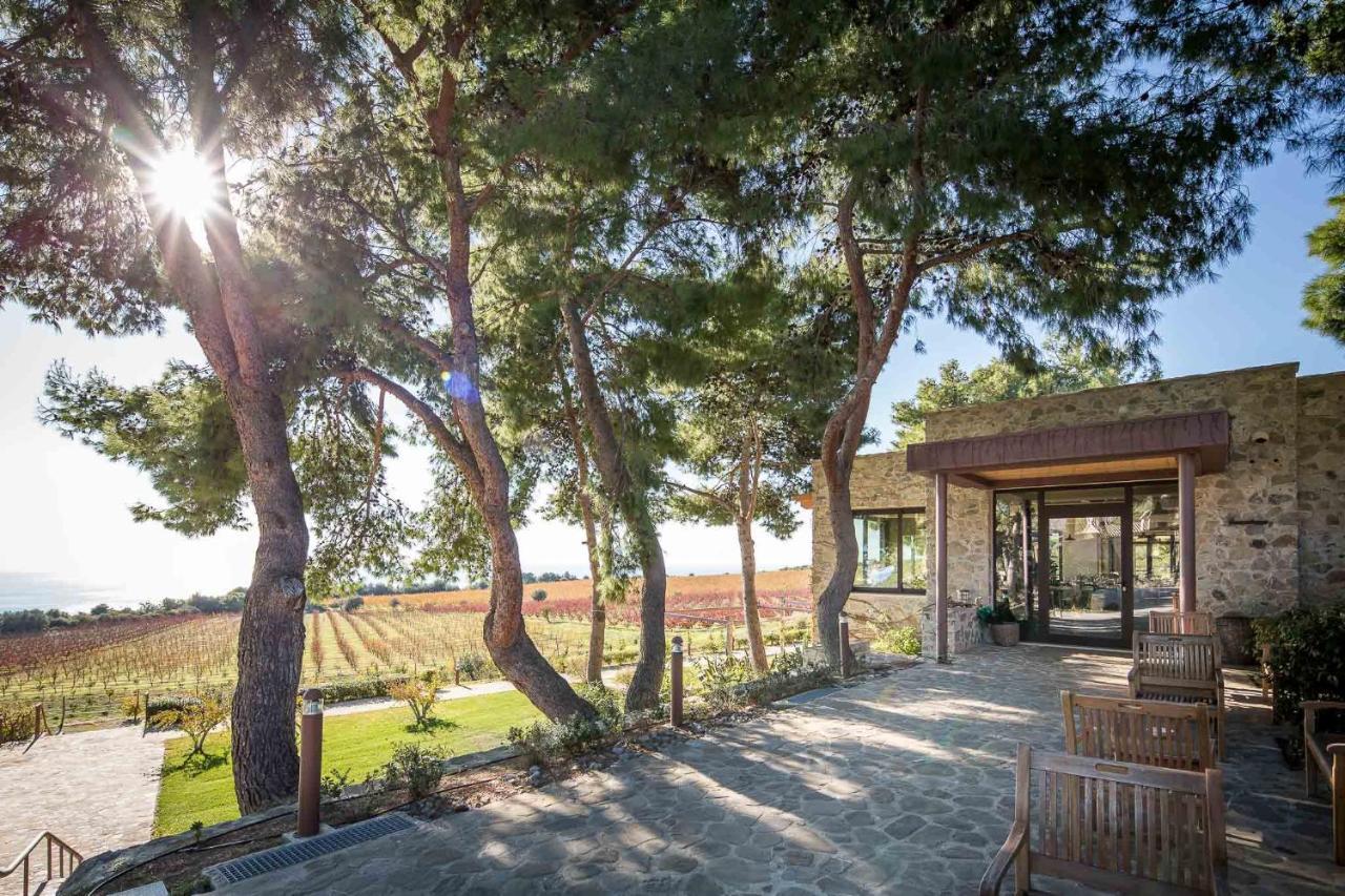 Masseria Agriturismo Torre Di Albidona トレビザッチェ エクステリア 写真